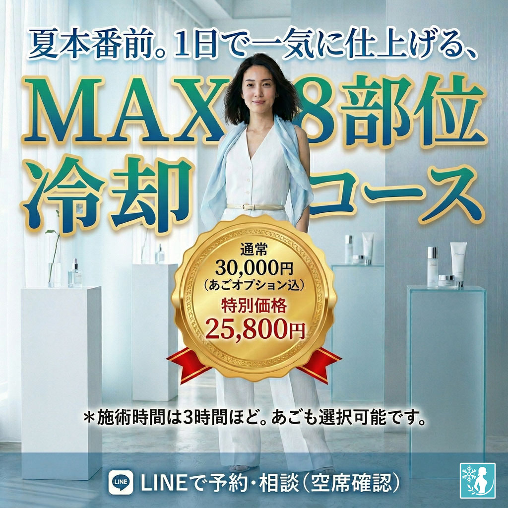 MAX8部位冷却コース